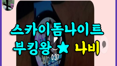 ◆ 야당스카이돔나이트 야당스카이돔나이트 무엇이든 부담없이 문의 주시면 거짓없이 확실하게 안내 해 드리겠습니다